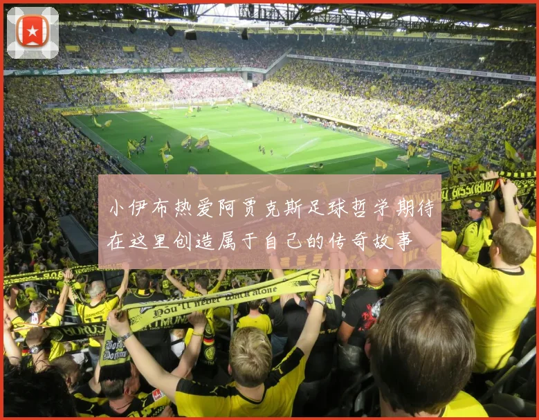 小伊布热爱阿贾克斯足球哲学期待在这里创造属于自己的传奇故事