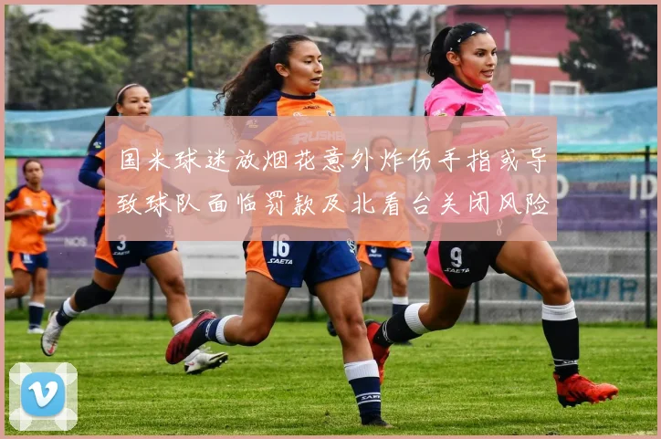 国米球迷放烟花意外炸伤手指或导致球队面临罚款及北看台关闭风险